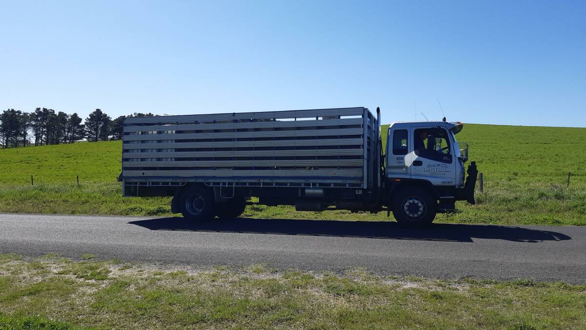 ON THE ROAD AGAIN: Craig and Jen Hotham's Isuzu stock carriers truck makes a great sight in a great spring in the Central Tablelands.